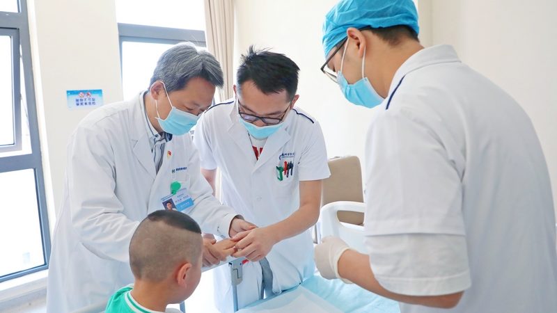 药膳补气血：揭秘传统养生与现代科学的交融之道**